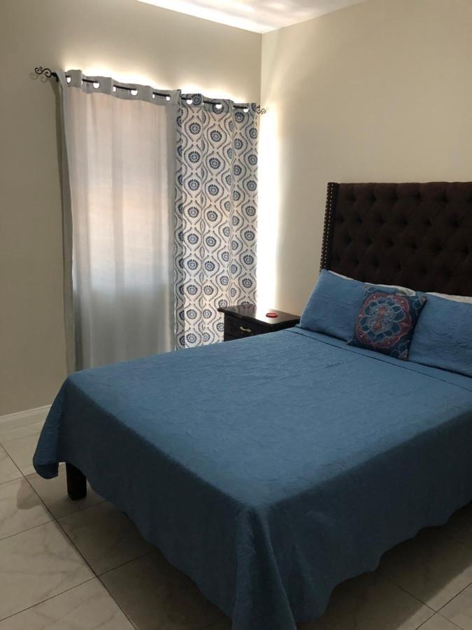Lovely 2 Bedroom C̅ Netflix Across National Stadium קינגסטון מראה חיצוני תמונה