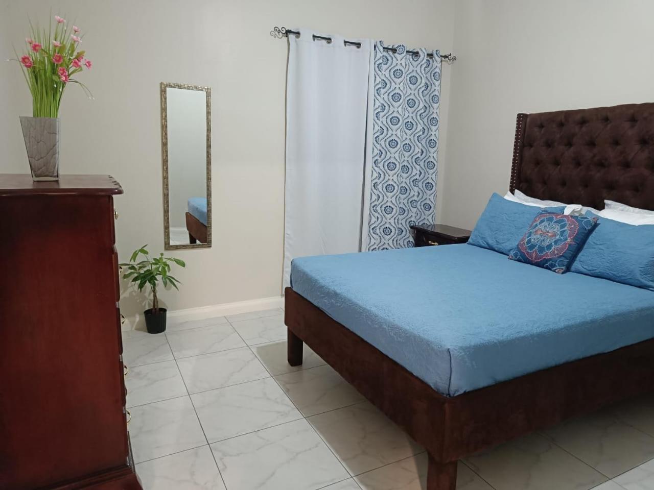 Lovely 2 Bedroom C̅ Netflix Across National Stadium קינגסטון מראה חיצוני תמונה